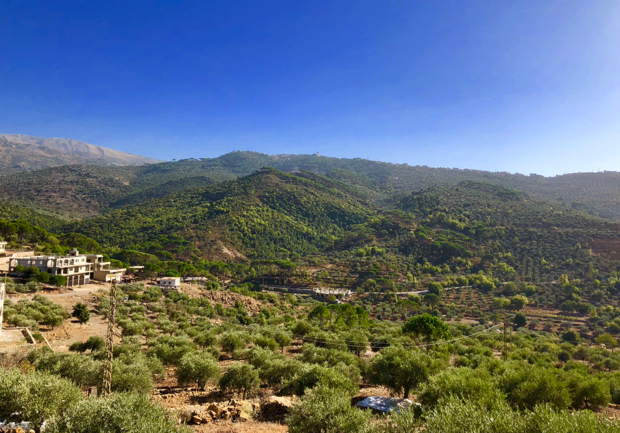 Historic view of Mimess village